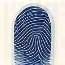 Stylometric Fingerprinting Icon